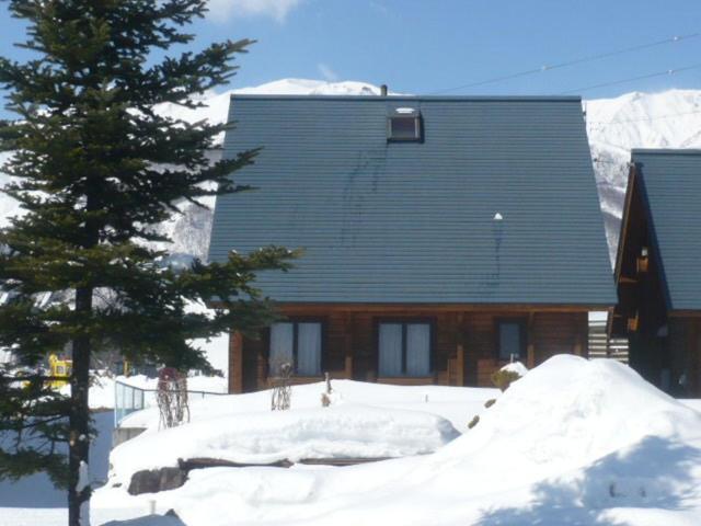 Hakuba Happo Log Chalets Bagian luar foto